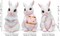 Easter Bunny Statue, Spring Tabletop Decoration, Cute Rabbit Figurine for Indoor Outdoor Easter Decor (Bunny 3 PCS)